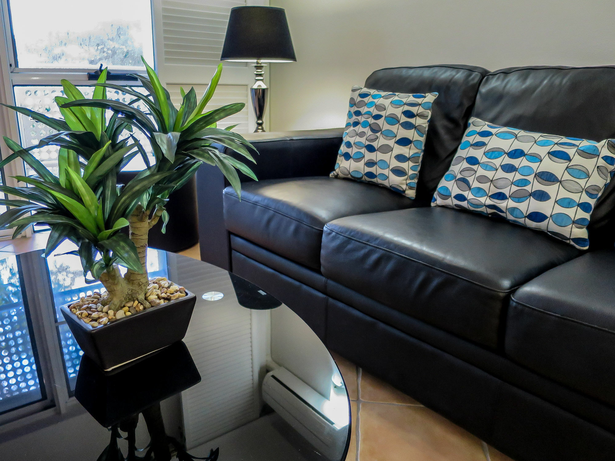 Marlin Waters Beachfront Apartments Palm Cove Exterior foto