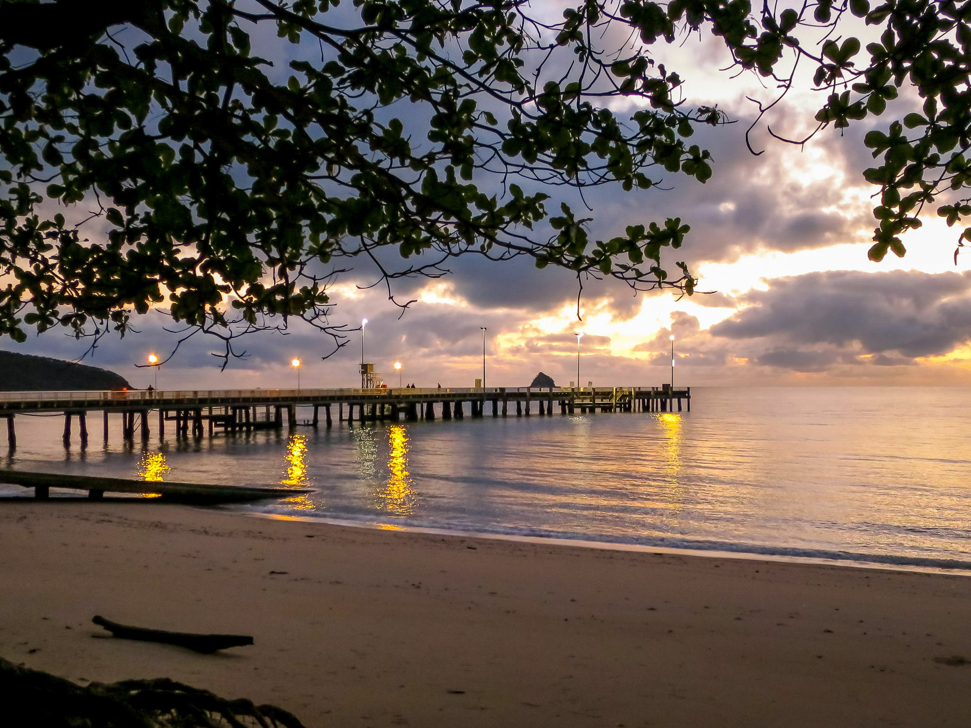 Marlin Waters Beachfront Apartments Palm Cove Exterior foto