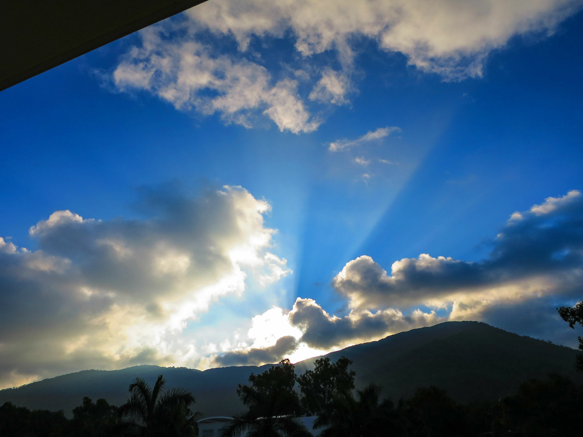 Marlin Waters Beachfront Apartments Palm Cove Exterior foto